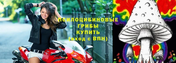 прущая мука Арсеньев