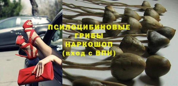 прущая мука Арсеньев