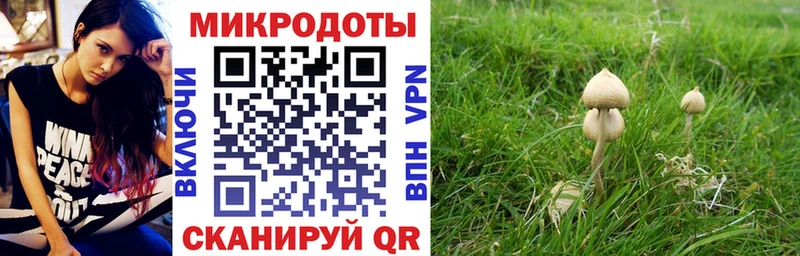 Купить  Спасск-Дальний  Галлюциногенные грибы MAGIC MUSHROOMS 